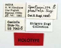 Specimen images